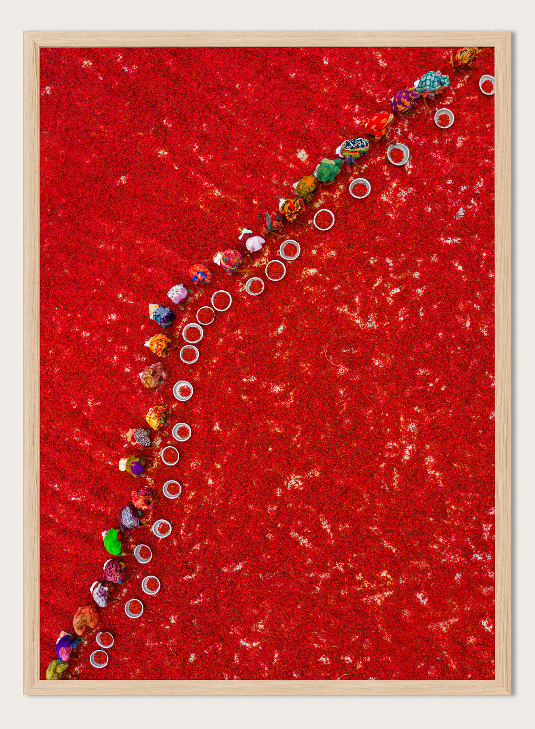 Picking Red Chilies by Azim Khan Ronnie aerial photography print showing workers harvesting red chilli fields Bangladesh, cultural documentary wall art poster