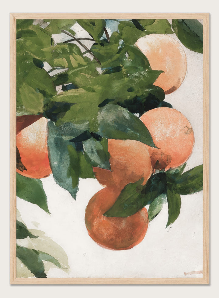 "Oranges on a Branch" Art Print
