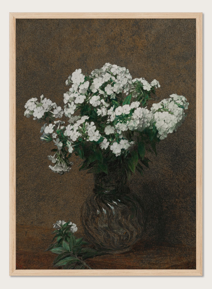 Shop White Phlox in a Vase by Henri Fantin-Latour, a vintage floral wall art print poster featuring a full bouquet of white phlox against a rich brown background.