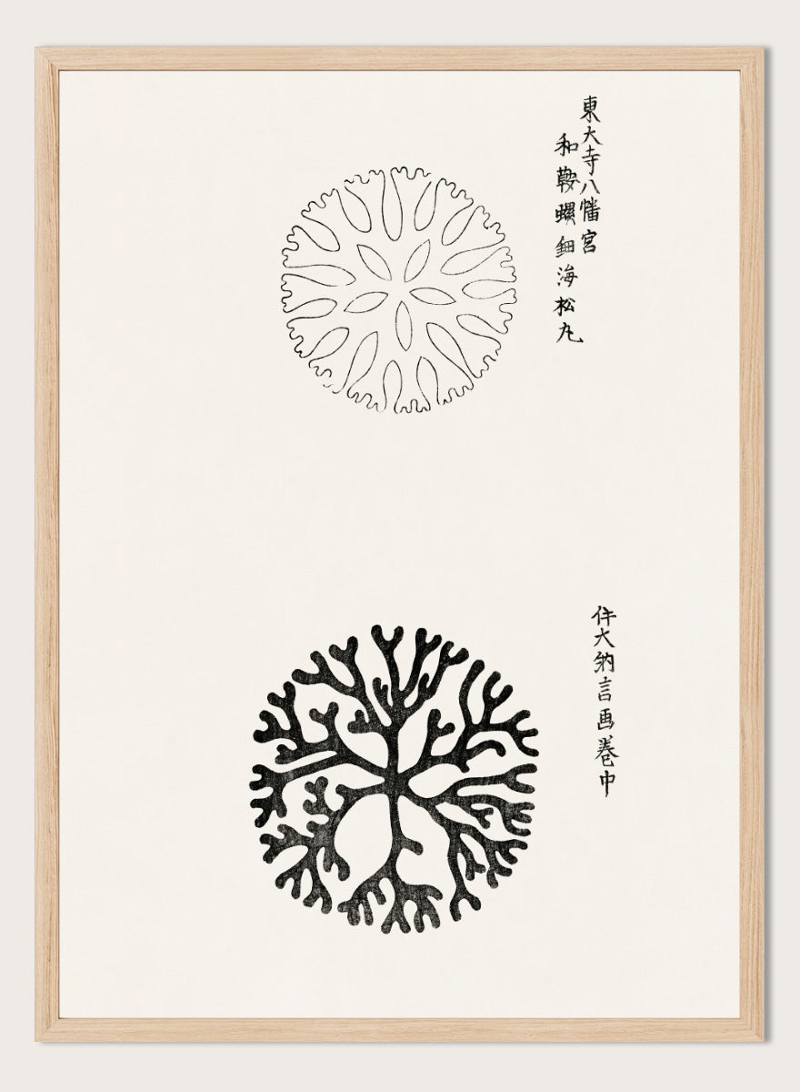 Mirumaru Yatsuo no Tsubaki by Taguchi Tomoki is a vintage Japanese woodblock art print featuring the traditional Mirumaru seaweed motif and original Japanese script.