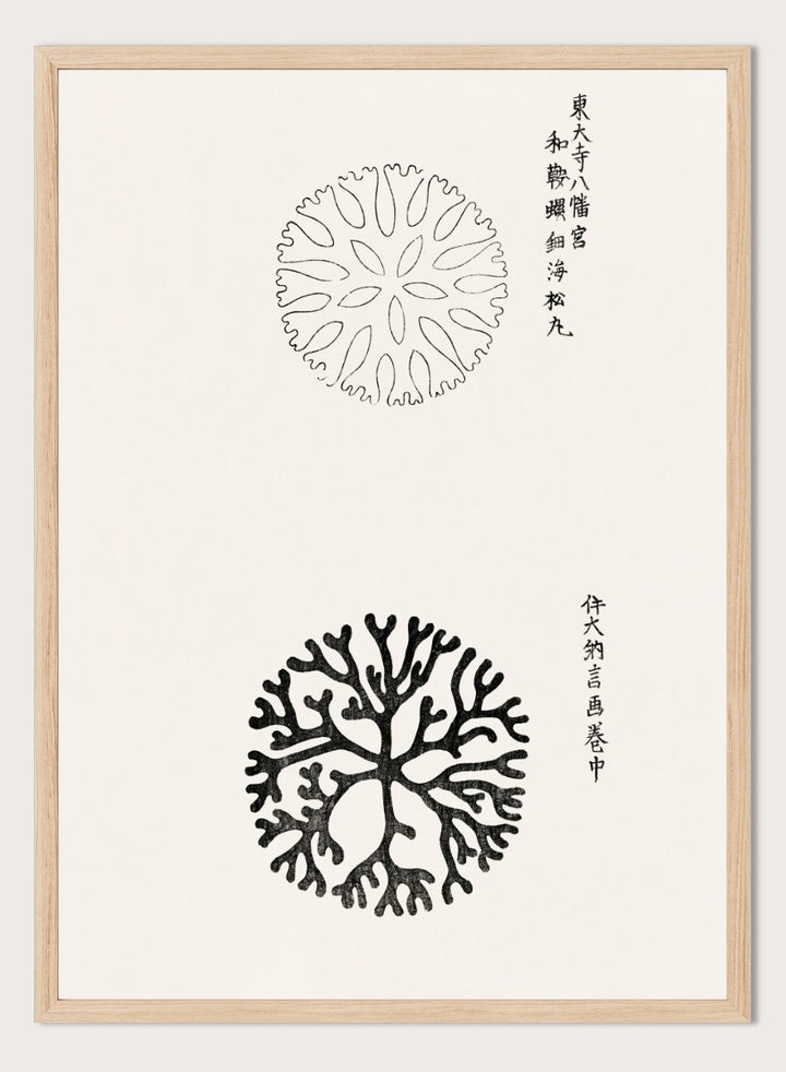 Mirumaru Yatsuo no Tsubaki by Taguchi Tomoki is a vintage Japanese woodblock art print featuring the traditional Mirumaru seaweed motif and original Japanese script.