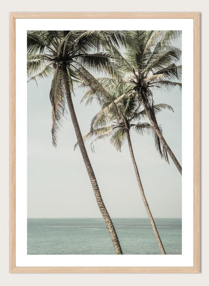 A framed art print featuring three leaning palm trees against a pale sky and ocean horizon. Ocean Breeze Palms by Shot by Clint coastal art print featuring tall palm trees, soft blue ocean views, and an airy tropical landscape.