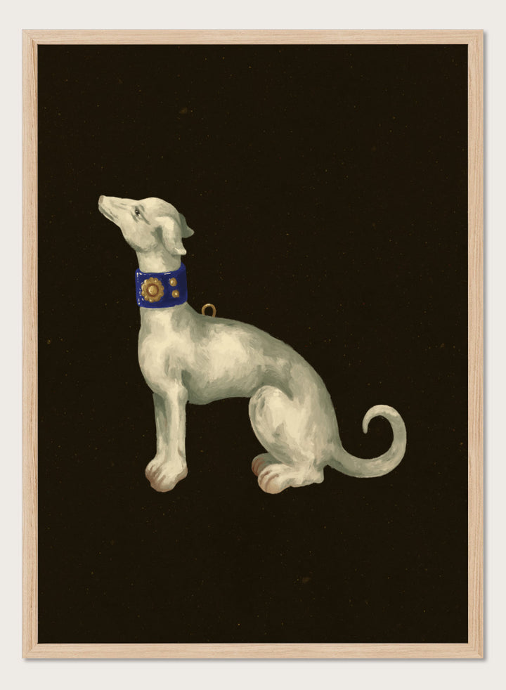 Shop Elegant White Greyhound by NKTN, a dog wall art print poster featuring a graceful white greyhound with a blue and gold collar on a dark background.