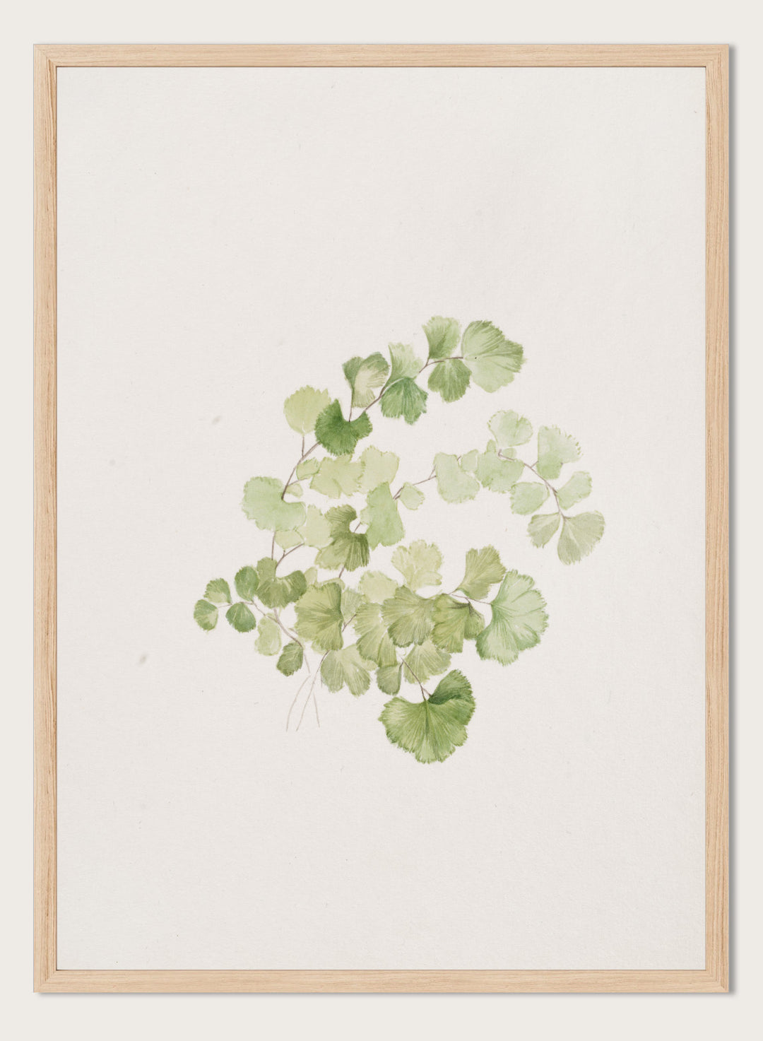 "Puccoon" Art Print