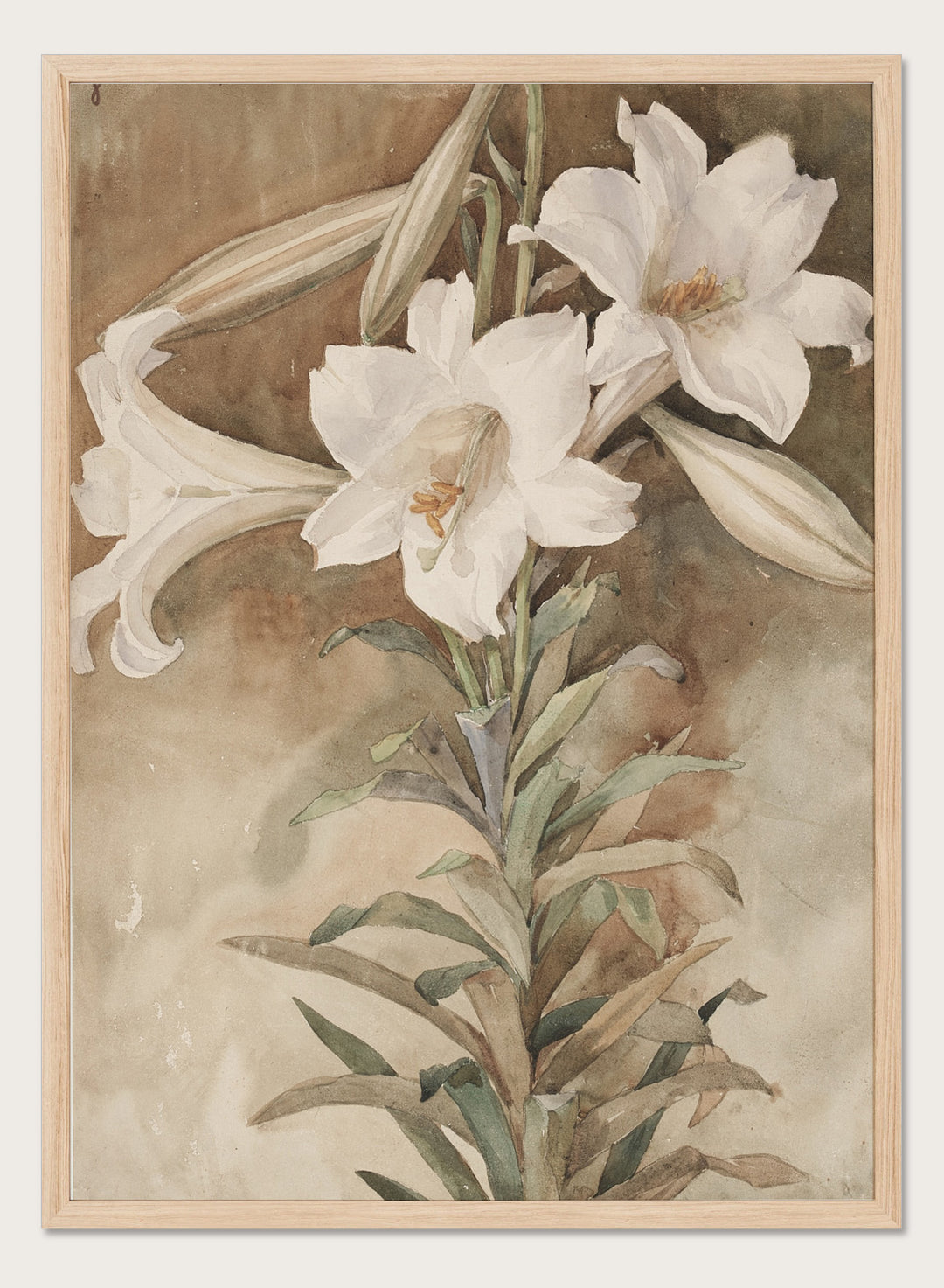 "Still Life of Easter Lilies" Art Print
