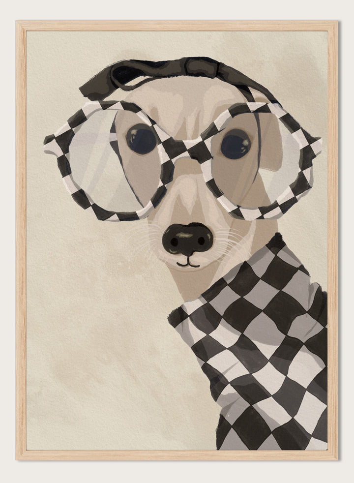 Chic Greyhound in Glasses by Lisa Solomoniuk premium framed fine art print featuring a greyhound in oversized checkered glasses and a matching sweater.