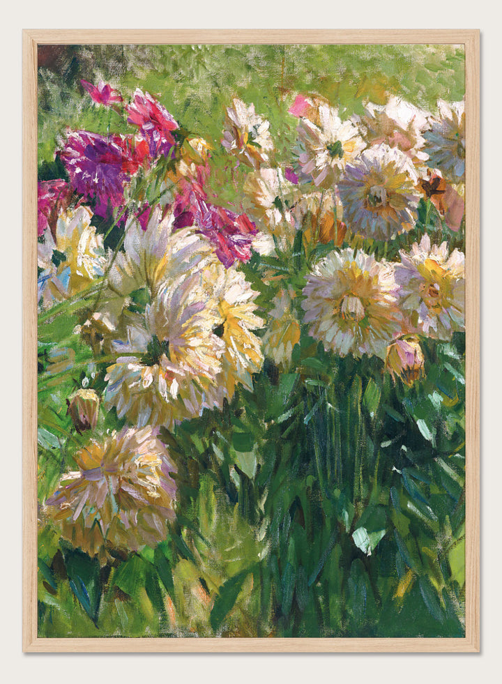 In “Dahlias” vintage art print, Carl Moll captures a vibrant cluster of garden flowers with bold brushwork and luminous color. Ivory, peach, and plum-colored dahlias fill the canvas, their petals nestled among dense green stems. This antique botanical poster is ideal for farmhouse and cottagecore interiors.