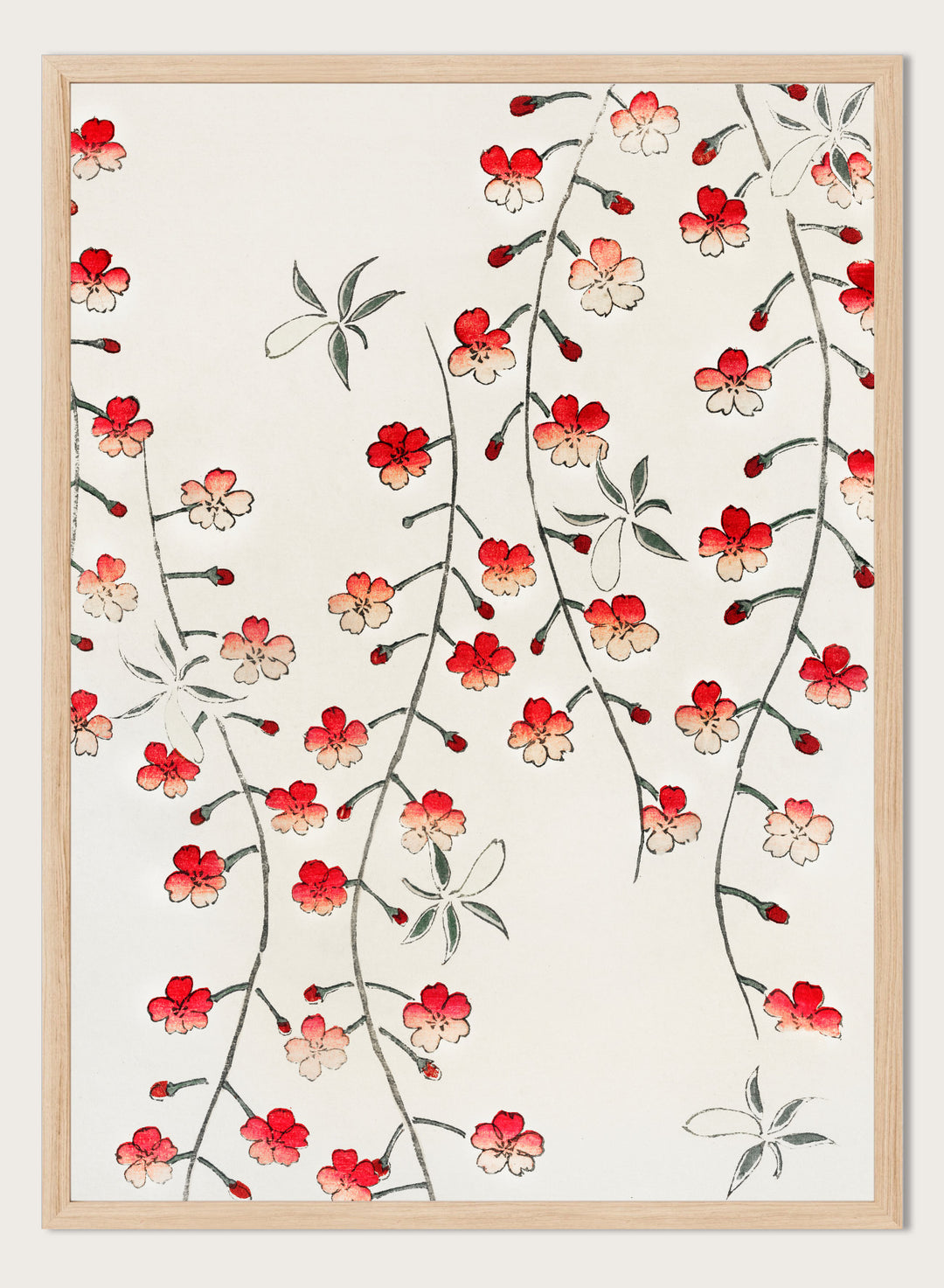 Watanabe Seitei Cherry Blossom Art Print