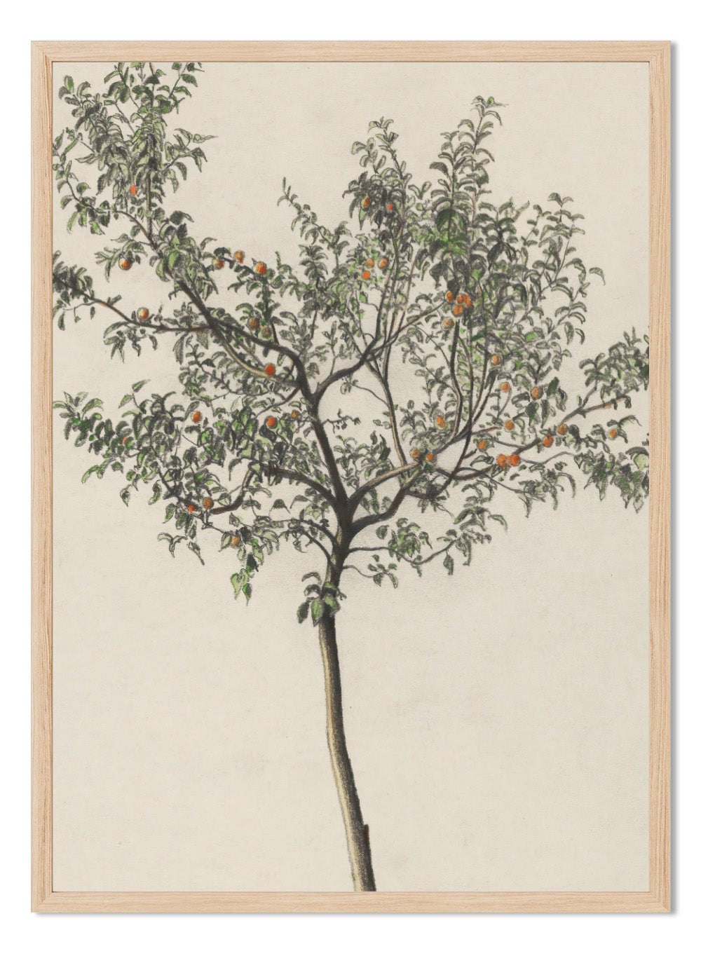 "Fruit Tree" Art Print