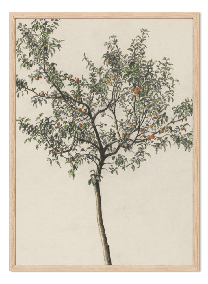 "Fruit Tree" Art Print