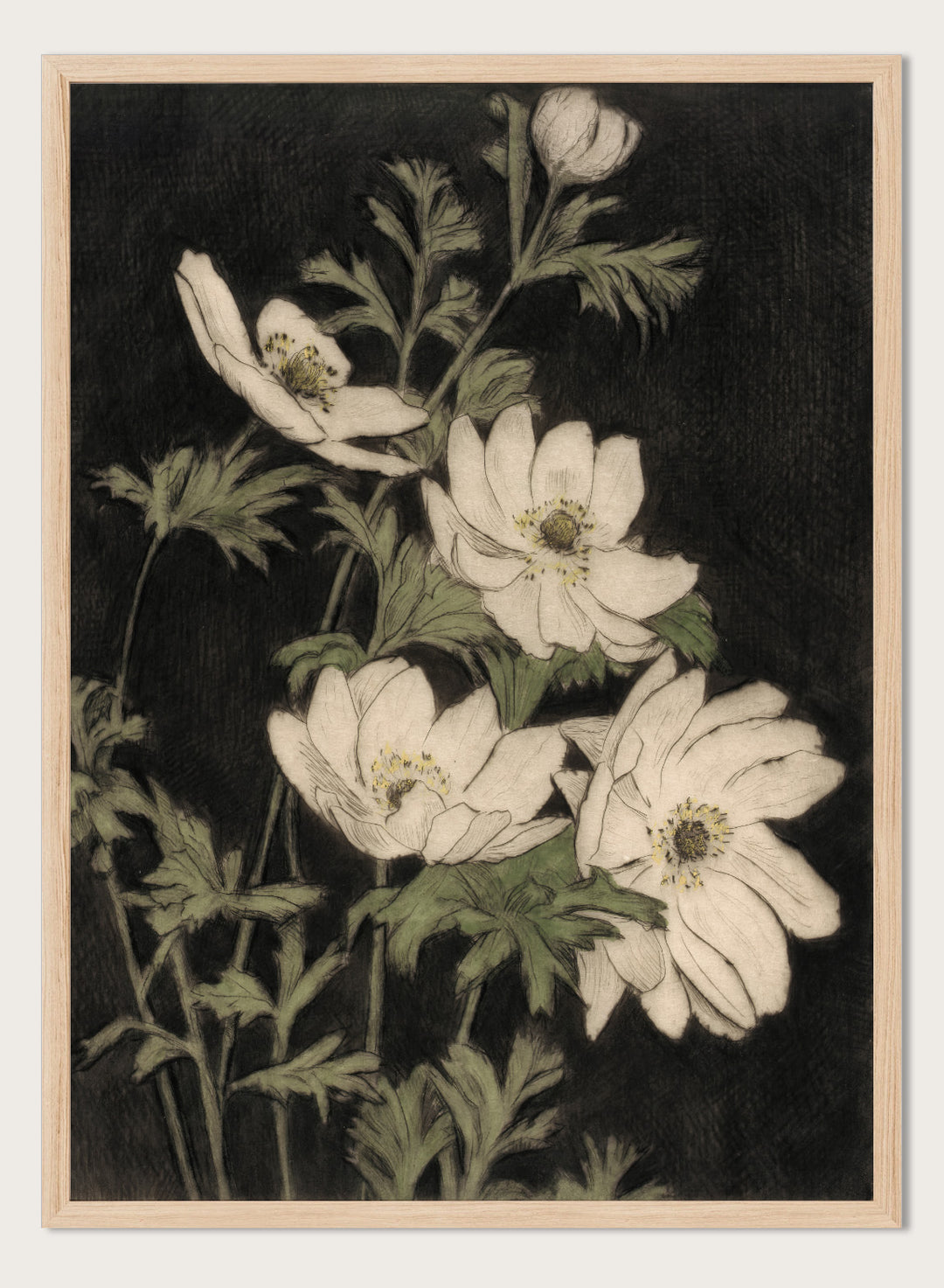"Anemones" Art Print