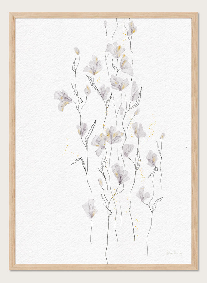 A framed watercolor painting of delicate white and light gray flowers with thin stems on a textured white background. Shop Delicate Gold Flowers by Ankie Kooi, a floral wall art print poster with airy botanical stems, soft gray flowers, yellow accents, and line art.