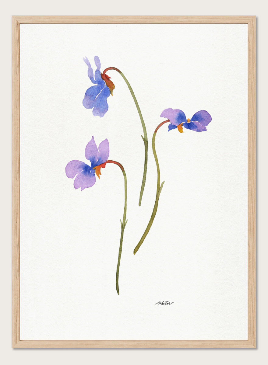 NKTN - Delicate Purple Violets Art Print