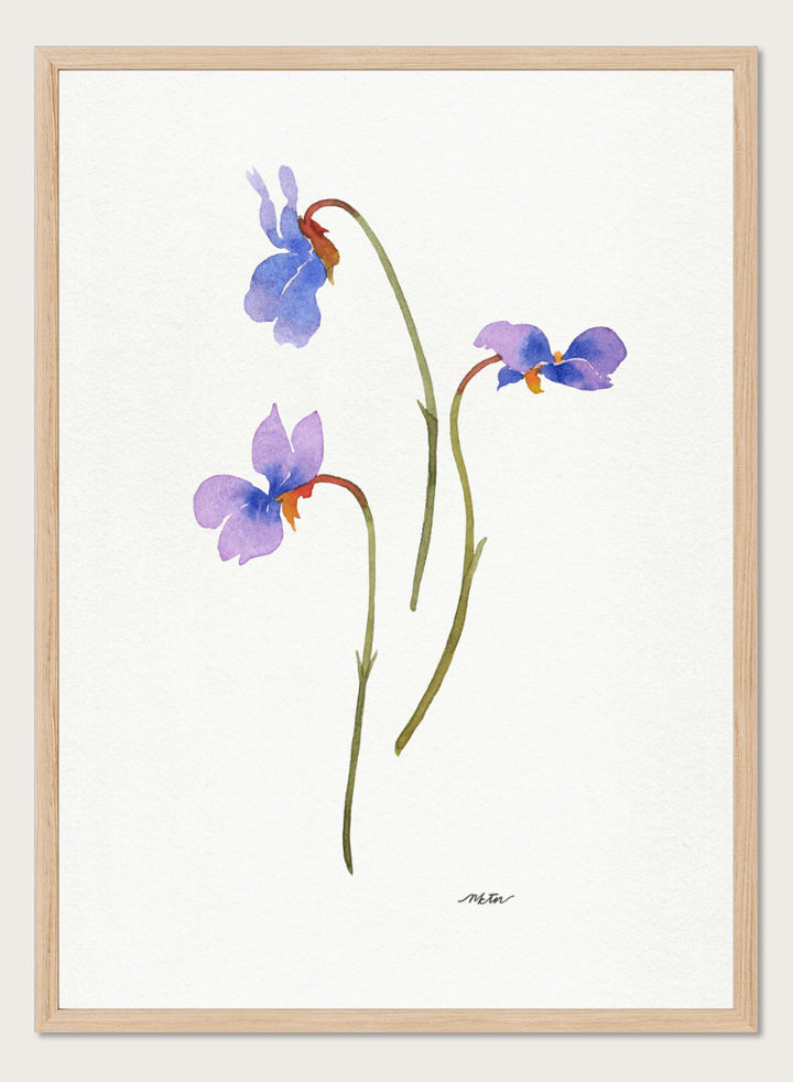 NKTN - Delicate Purple Violets Art Print