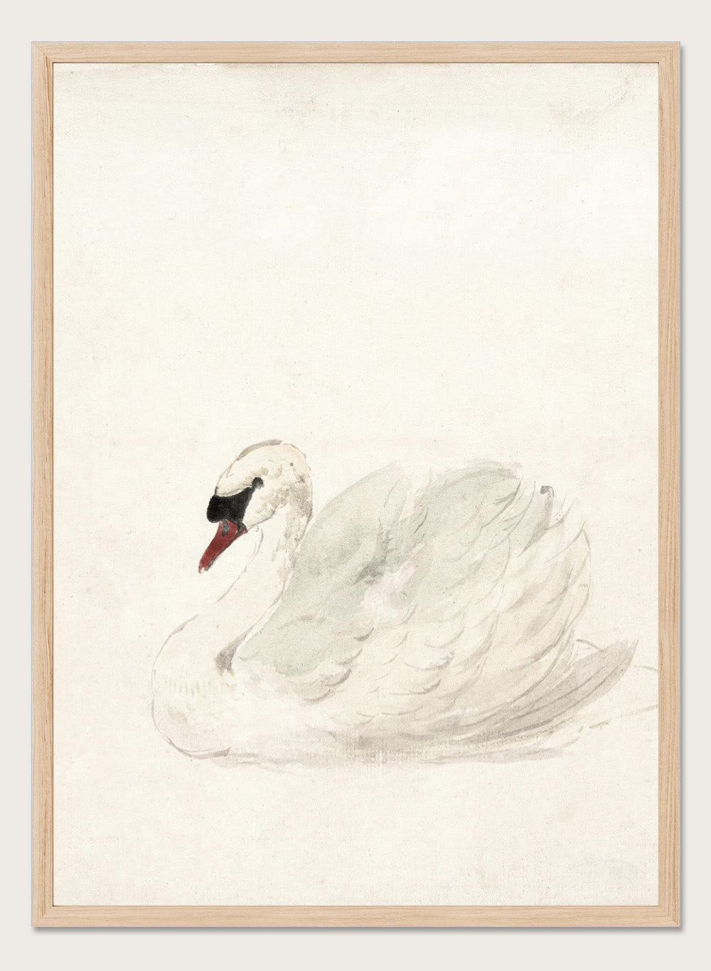 "Swan" Art Print