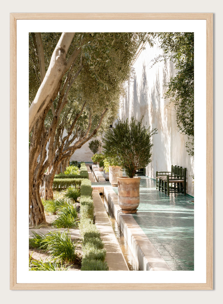 Garden pathway with trees, plants, and a building in the background. Mediterranean Garden Courtyard by Henrike Schenk is a travel photography print featuring olive trees, terracotta pots, tiled walkways, and a Moroccan garden.