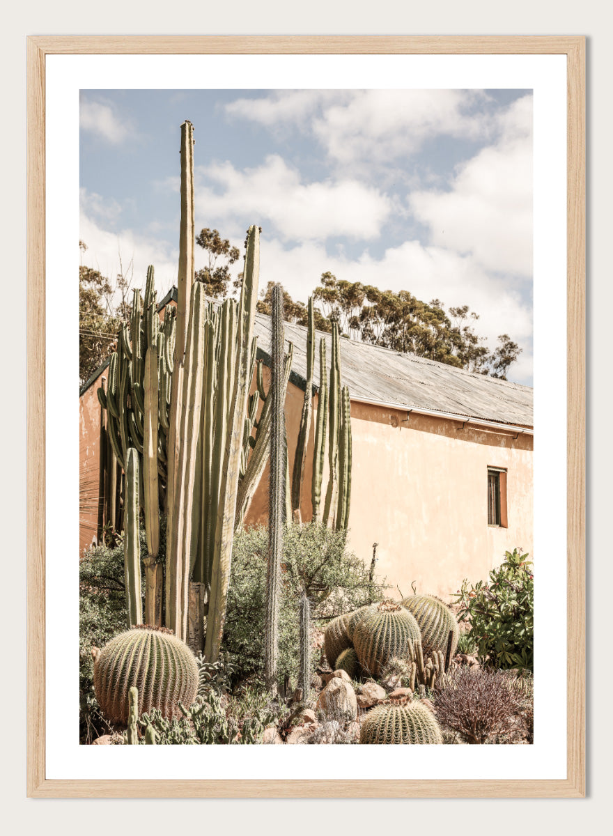 Shot by Clint - Desert Retreat Art Print