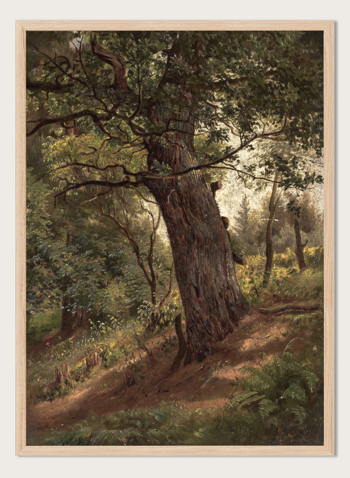 "Study of a Tree" Art Print