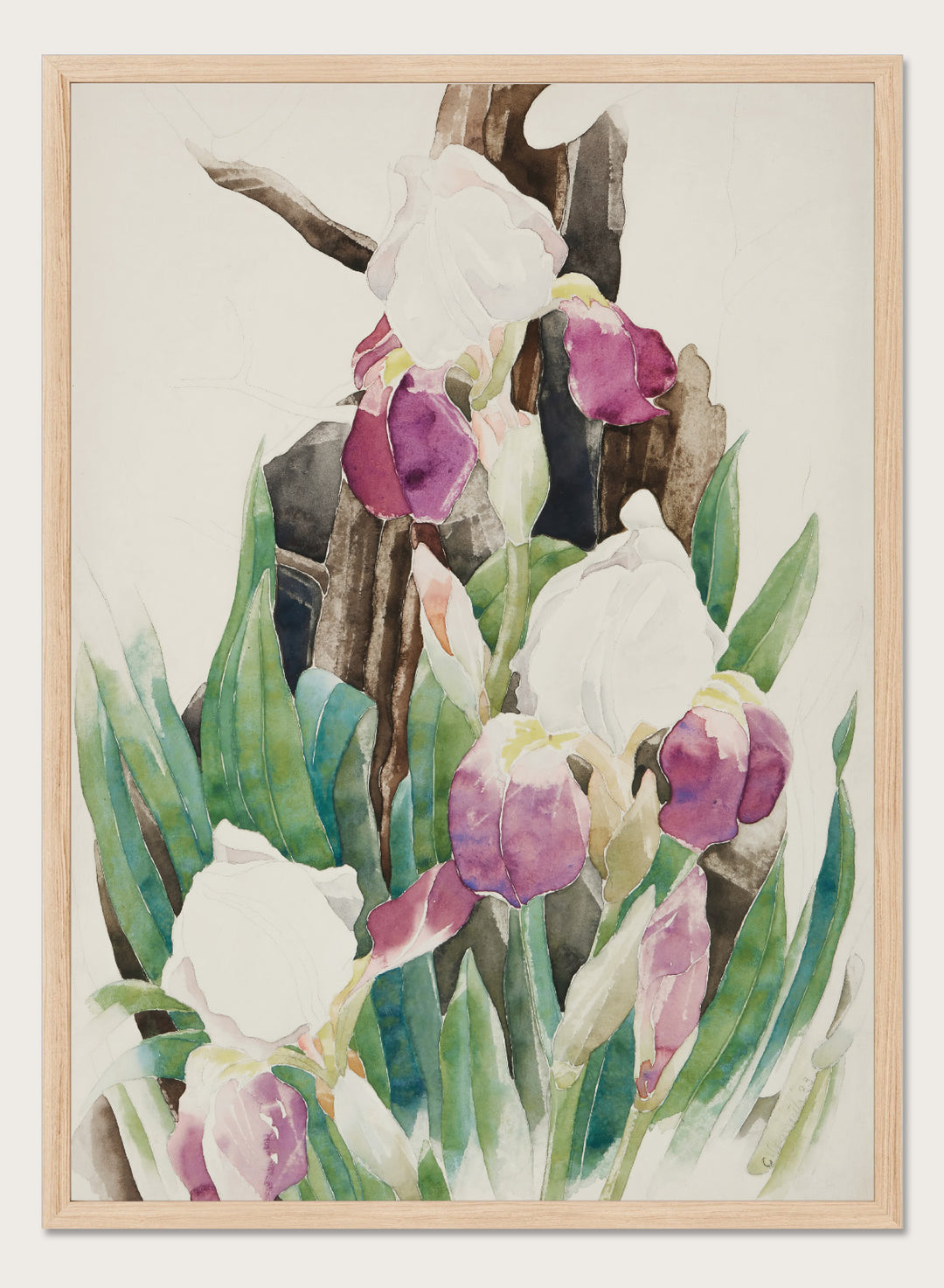 "Iris" Art Print