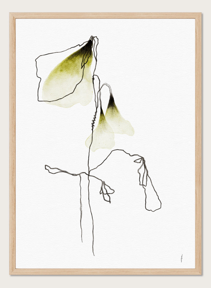 Shop Delicate Olive Blooms by Ankie Kooi, a botanical wall art print poster with abstract floral line art, watercolor flowers, green, cream, and black.