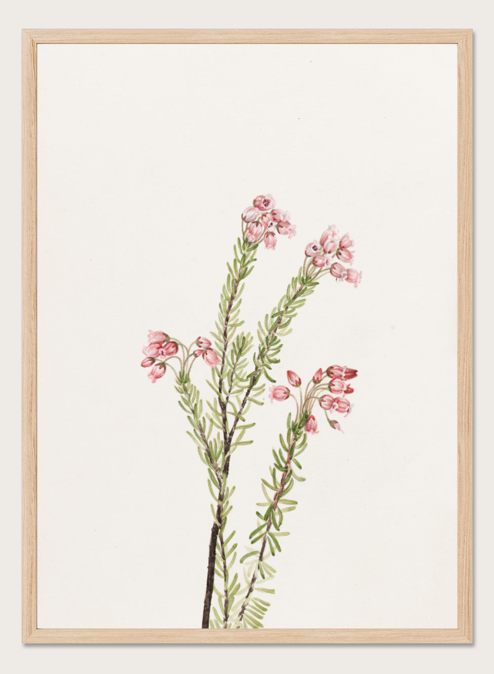 "Pink Mountain Heather" Art Print