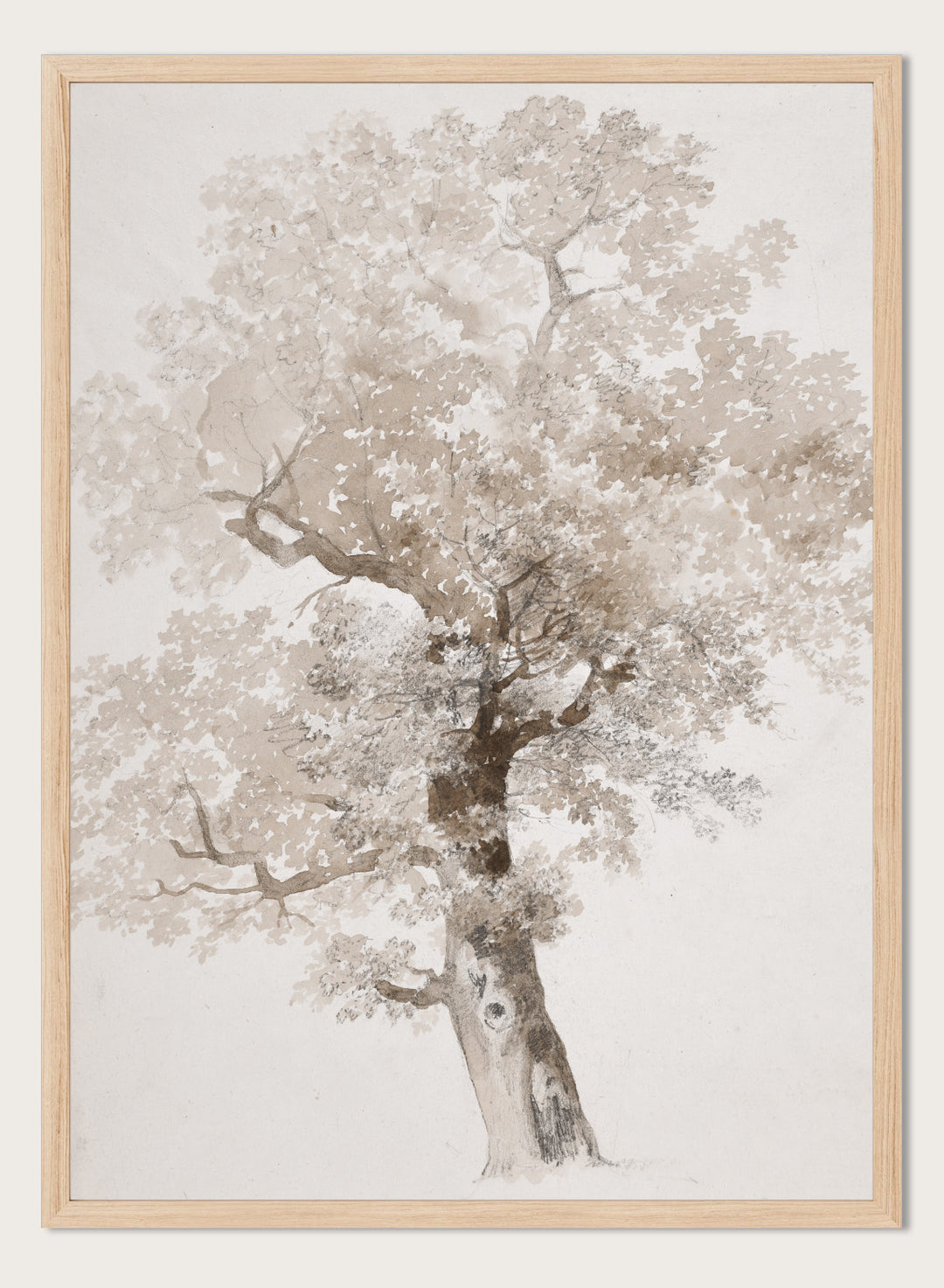 "Study of a Tree" Art Print