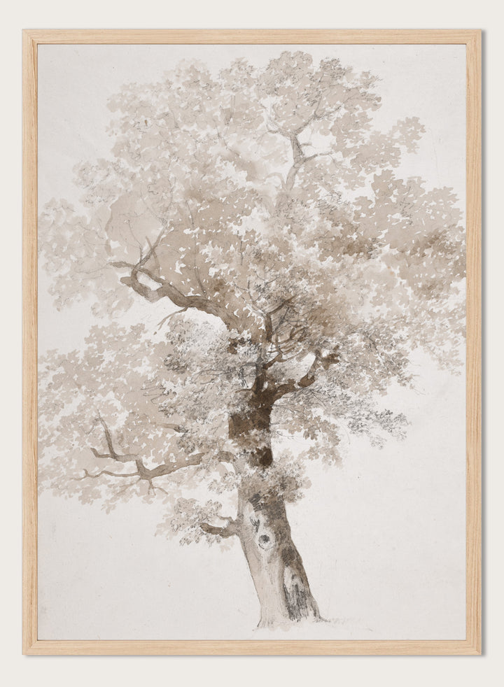 "Study of a Tree" Art Print