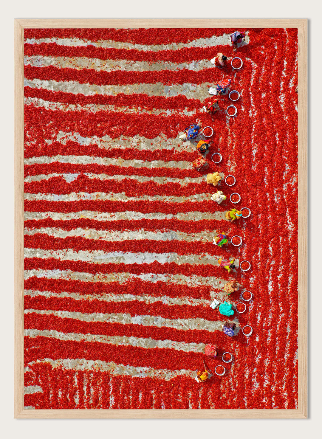 Drying Red Chilies by Azim Khan Ronnie aerial photography print showing chilli fields in Bangladesh with workers, cultural documentary wall art poster