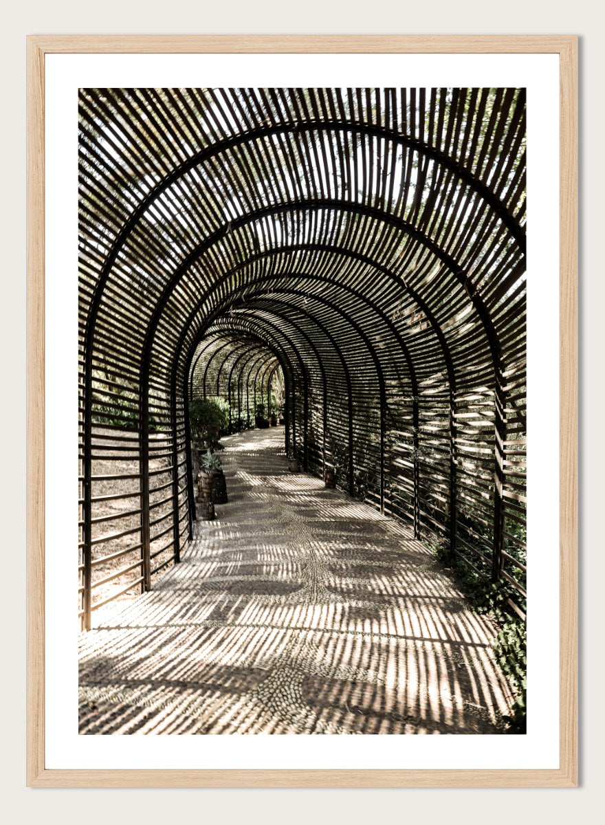 A framed art print featuring a perspective view of a garden pathway enclosed in a dark arched trellis structure, casting striped shadows on the ground. Shadow Garden by Shot by Clint architectural photography print featuring a curved wooden walkway, striped shadows, garden plants, and textured natural light.