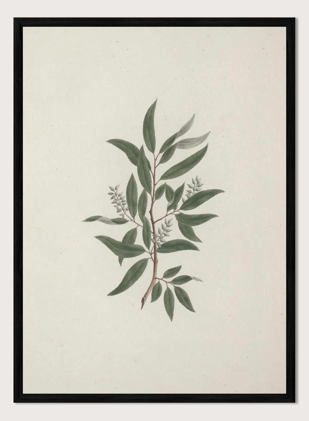 "Willow Tree" Art Print