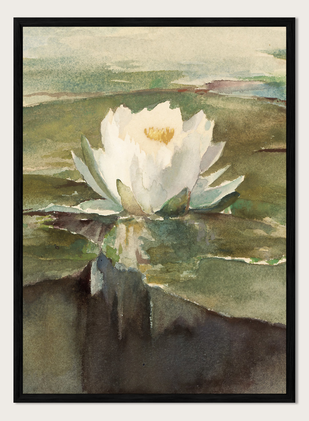 Vintage "Water Lily in Sunlight" Art Print
