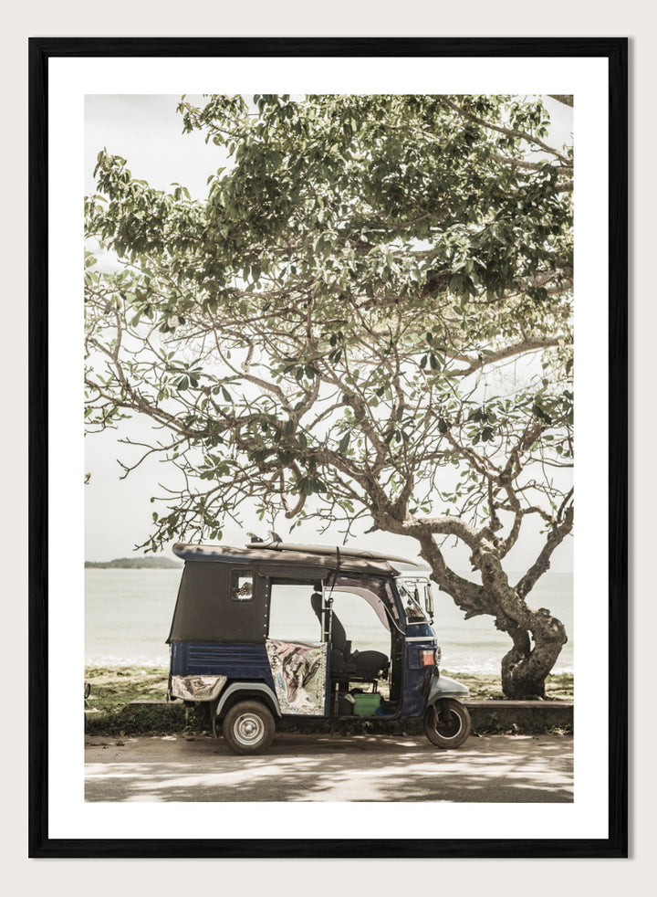 A framed photographic print featuring a small blue and white auto rickshaw parked under a large leafy tree beside a body of water. Tuk Tuk Tour by Shot by Clint travel photography print featuring a blue tuk tuk, surfboard, coastal tree, and relaxed seaside setting.