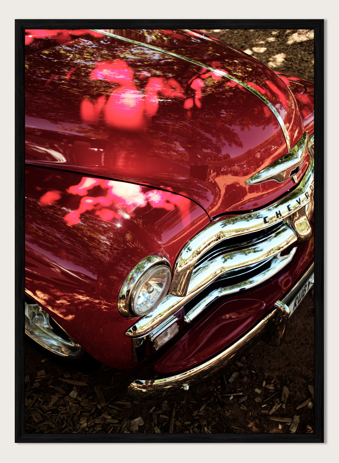 Close-up of a vintage red Chevrolet car body with chrome grille and reflections of trees on the glossy paint, photographed outdoors on mulch. Vintage Red Car by Shot by Clint automotive photography print featuring a classic Chevrolet, deep red paint, polished chrome, and sculptural vintage details.