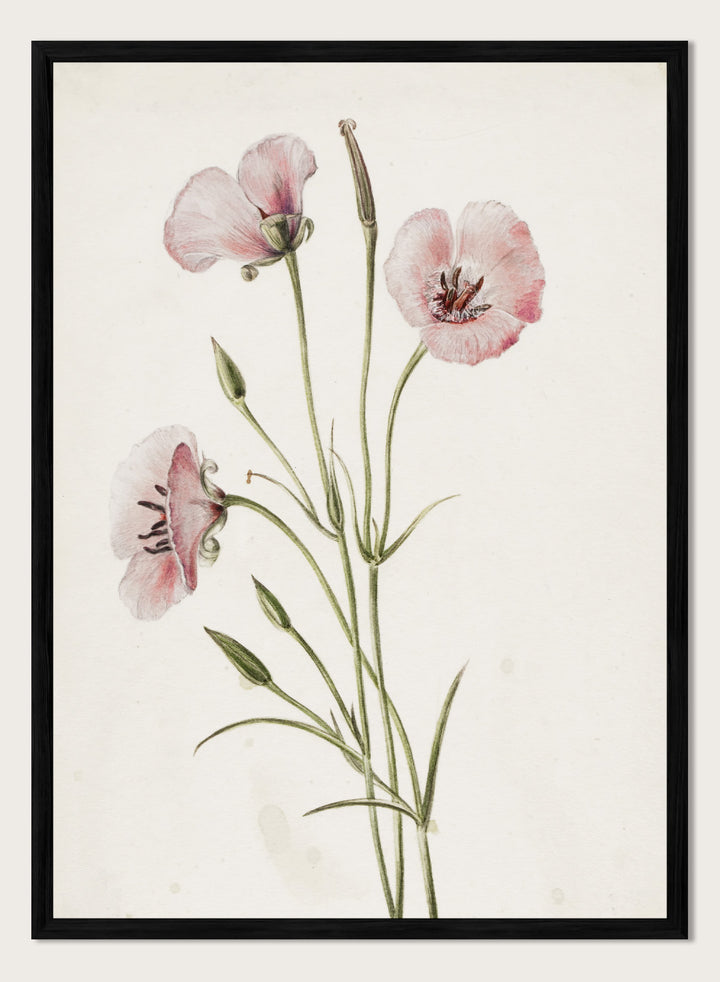 "Lilac Mariposa" Art Print