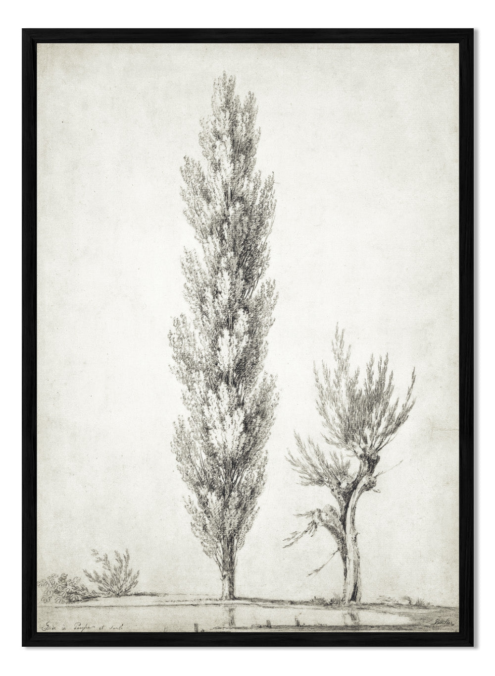 "Landscape with a Poplar and a Willow Tree" Art Print