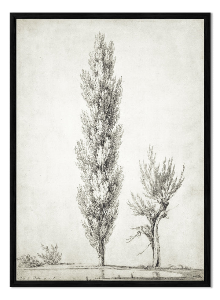 "Landscape with a Poplar and a Willow Tree" Art Print