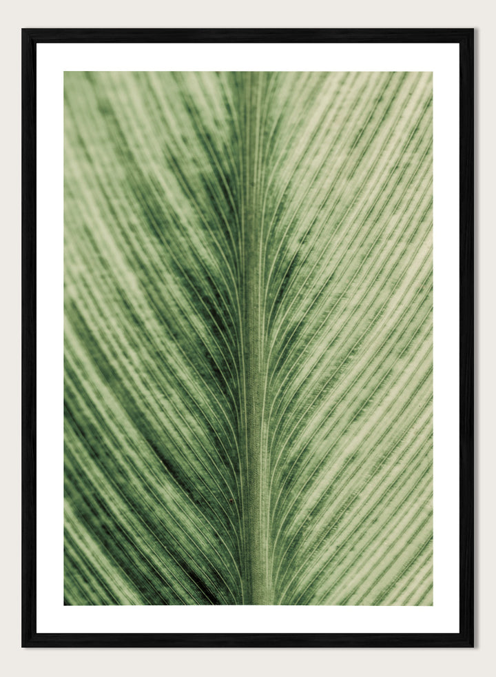 A framed botanical art print featuring a close-up photograph of a green leaf with prominent veins. Verdant Veins by Shot by Clint botanical photography print featuring detailed green leaf veins, natural texture, and layered organic pattern.