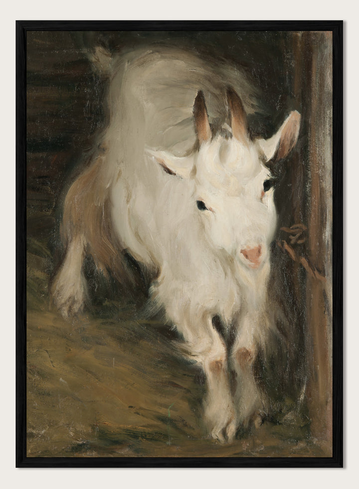 "He-Goat" Art Print