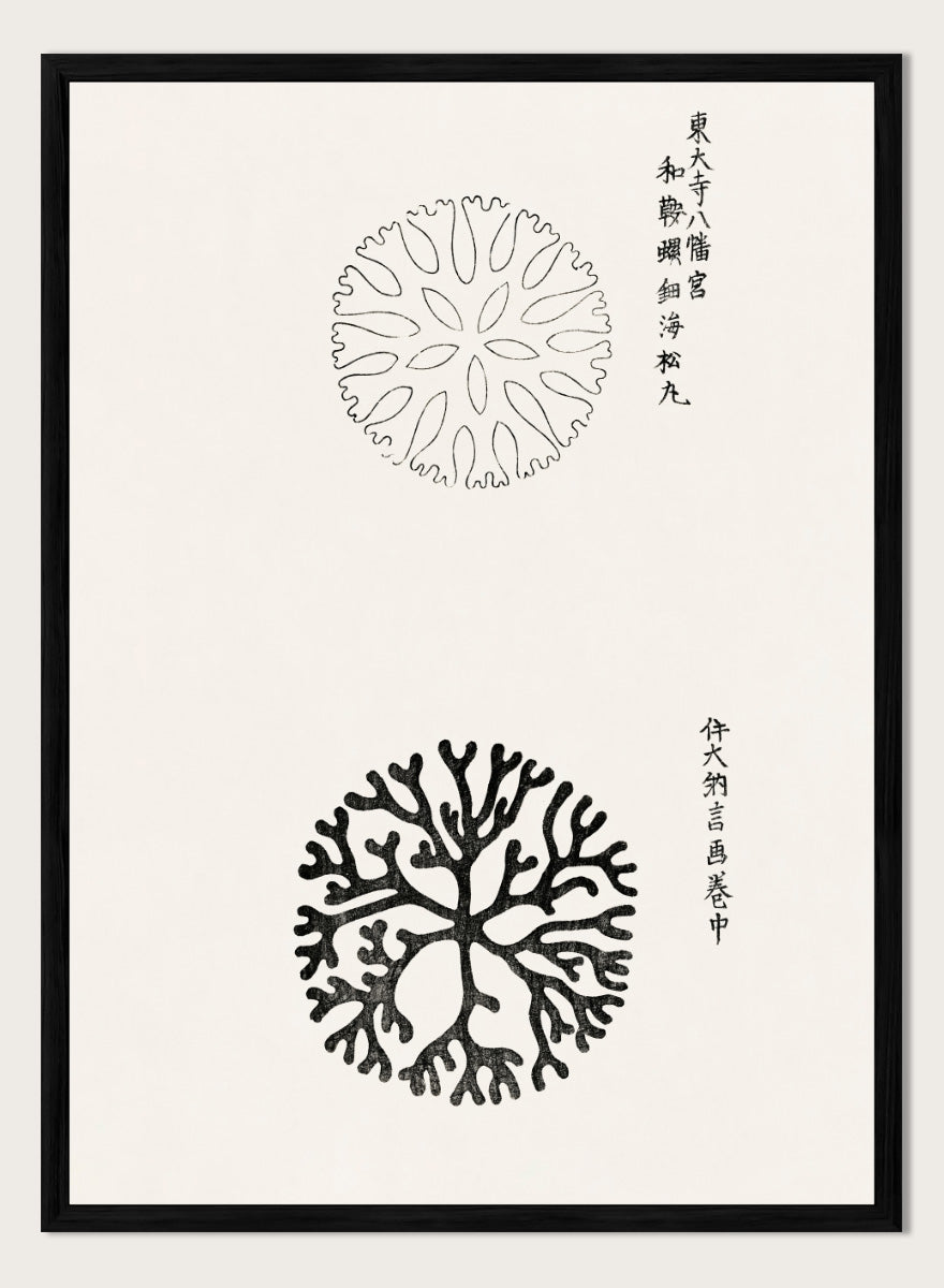 Mirumaru Yatsuo no Tsubaki by Taguchi Tomoki is a vintage Japanese woodblock art print featuring the traditional Mirumaru seaweed motif and original Japanese script.