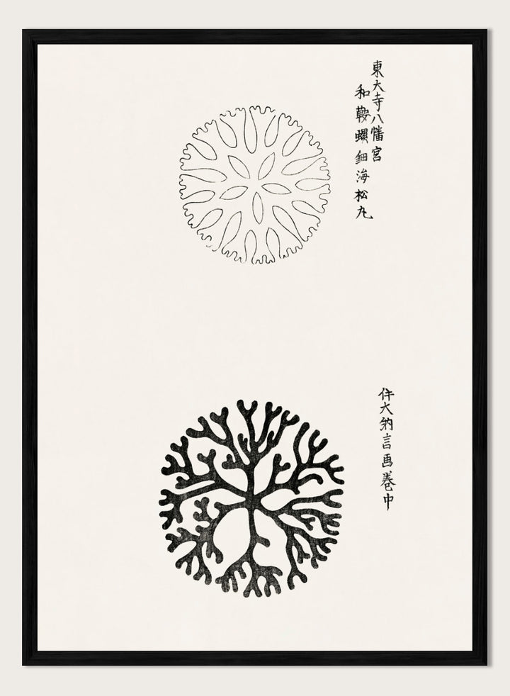 Mirumaru Yatsuo no Tsubaki by Taguchi Tomoki is a vintage Japanese woodblock art print featuring the traditional Mirumaru seaweed motif and original Japanese script.