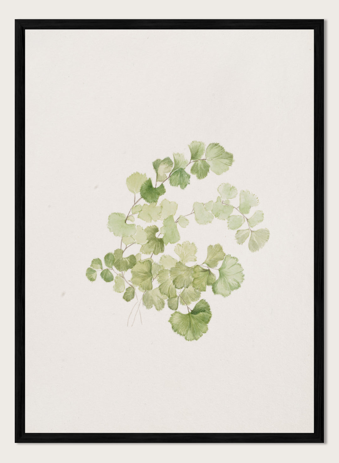 "Puccoon" Art Print