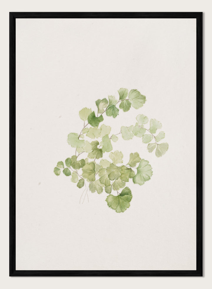 "Puccoon" Art Print