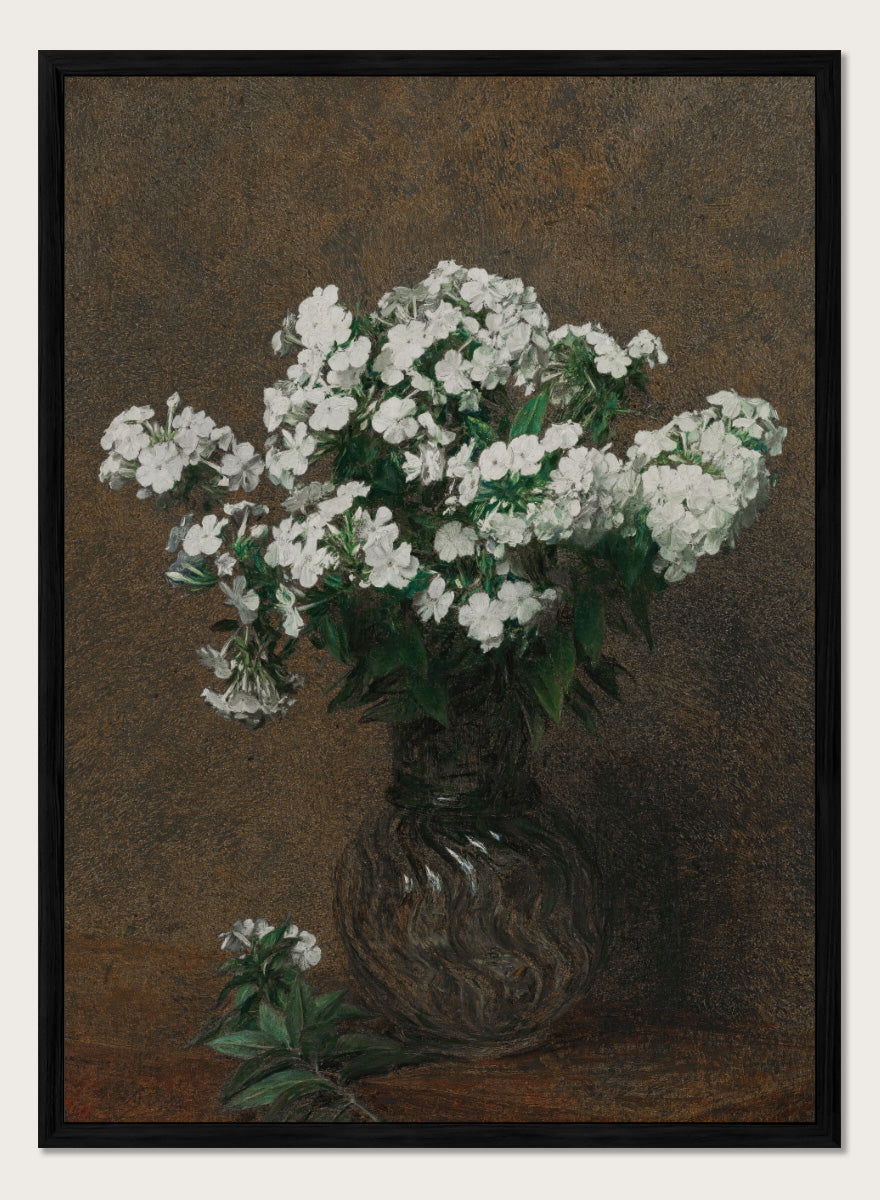 Shop White Phlox in a Vase by Henri Fantin-Latour, a vintage floral wall art print poster featuring a full bouquet of white phlox against a rich brown background.