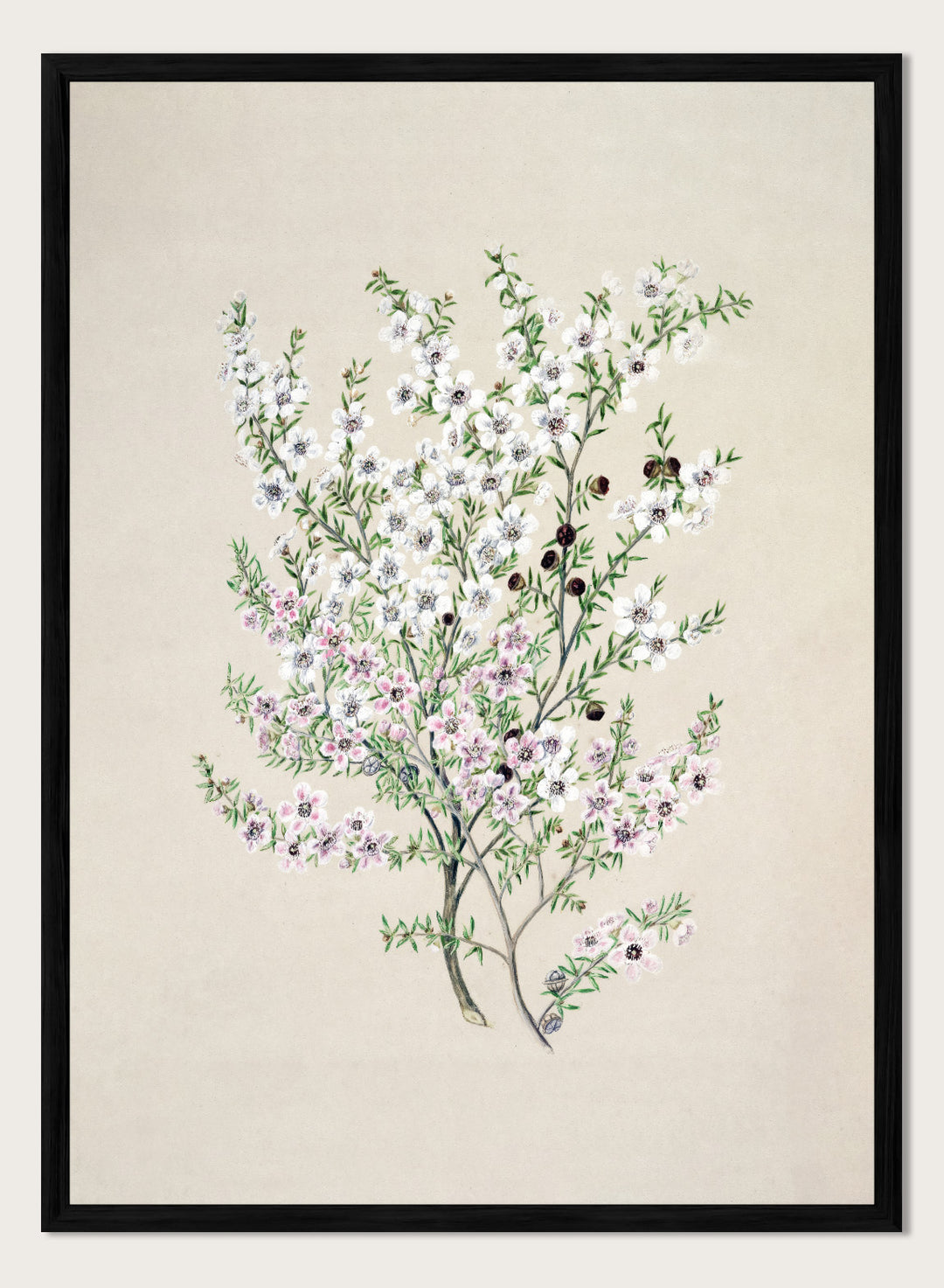 "Manuka" Art Print