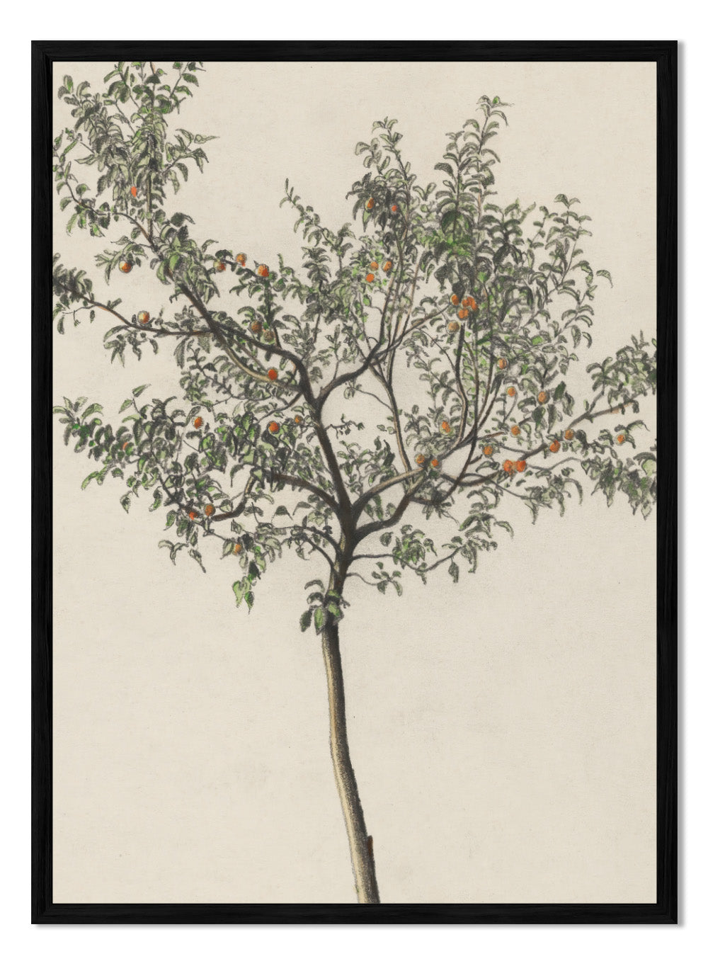 "Fruit Tree" Art Print