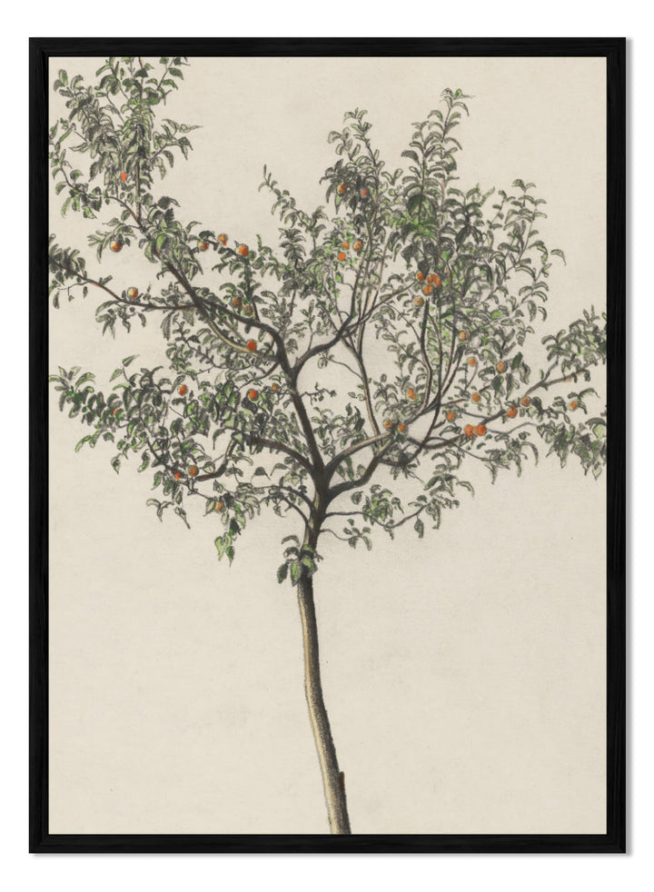 "Fruit Tree" Art Print