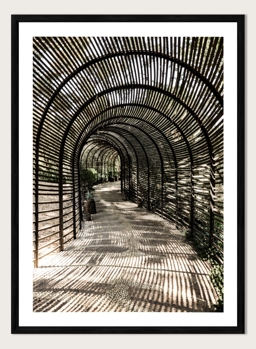 A framed art print featuring a perspective view of a garden pathway enclosed in a dark arched trellis structure, casting striped shadows on the ground. Shadow Garden by Shot by Clint architectural photography print featuring a curved wooden walkway, striped shadows, garden plants, and textured natural light.