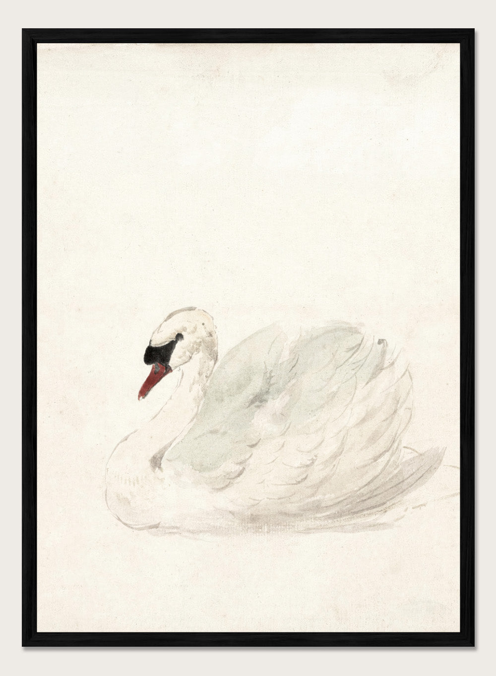 "Swan" Art Print