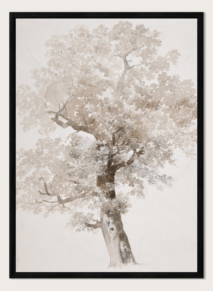 "Study of a Tree" Art Print