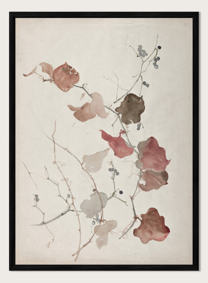 "Study of Clematis Vine with Blueberries" Art Print